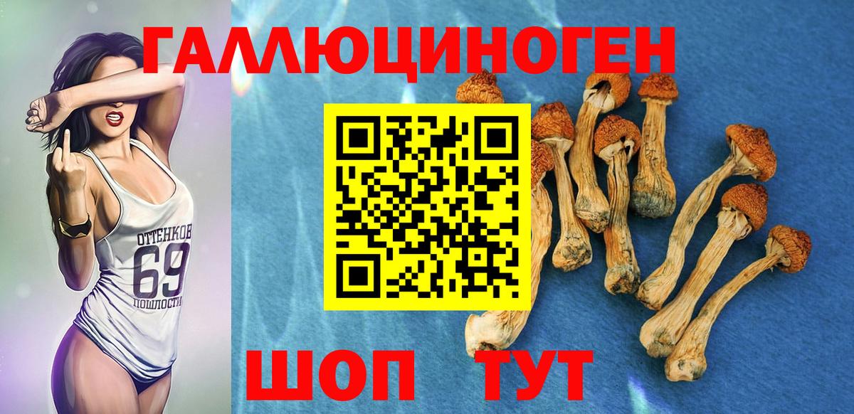 Псилоцибиновые грибы GOLDEN TEACHER  Вход с VPN  Галлюциногенные грибы GOLDEN TEACHER  Чебоксары 