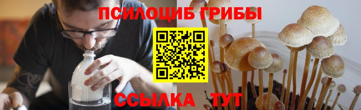 Псилоцибиновые грибы MAGIC MUSHROOMS Чебоксары
